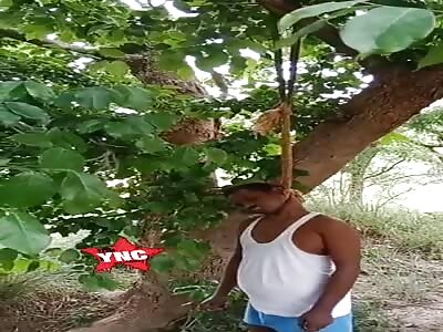 Another dead man in a tree