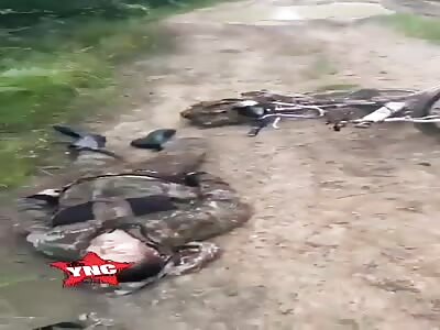 dead men found in Moscow region