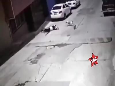 Pit bull attacks grandma