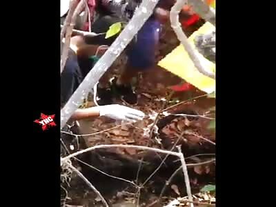 Discovery of the body of a young man in an advanced state of putrefact