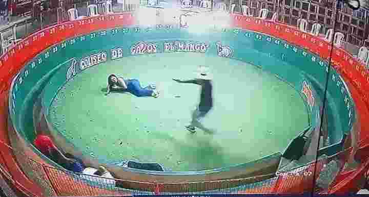 Woman shot to death in cockfight