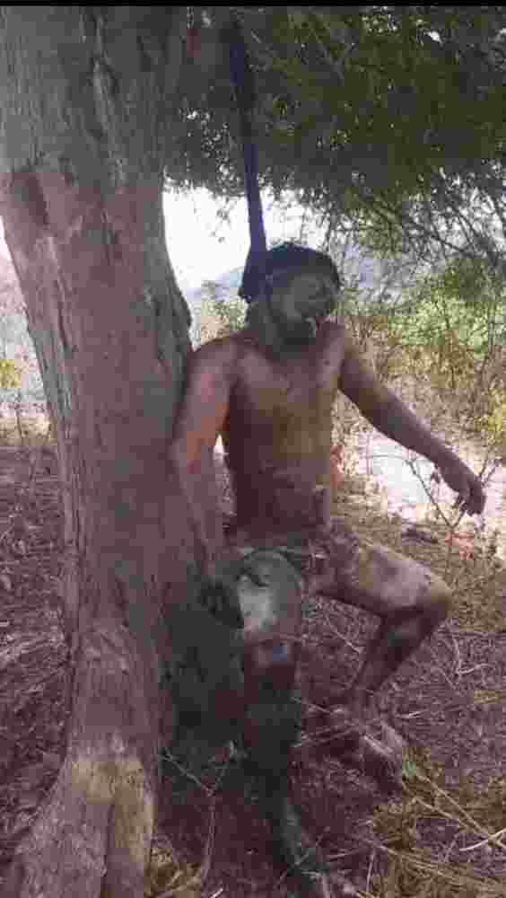 Corpses are always a good decoration