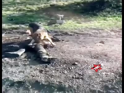 Soldier ended up as dog food