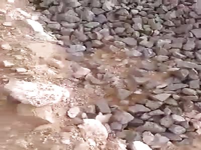 Suicidal Man Destroyed By Train.