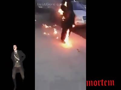 Hitler gore compilation