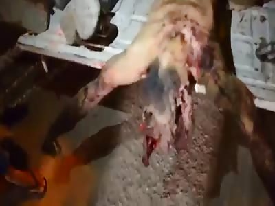 Soldier with head shattered by .50 caliber gun shot