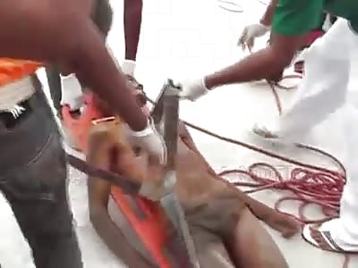 4 dead people taken out of a septic tank