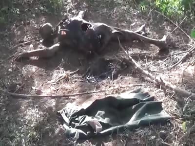 Find putrefied cadaver in Veracruz mexico