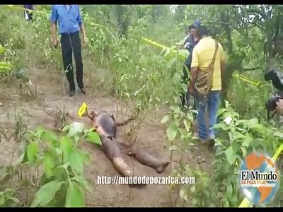 Forensics make lifting of a body in advanced state of decomposition