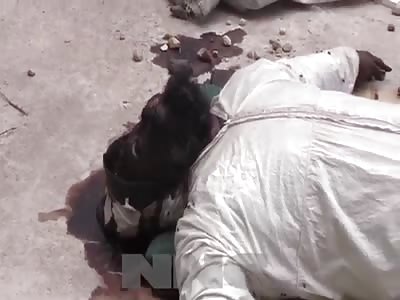 homeless found dead on a farm