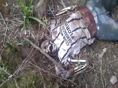 The person is found lifeless and rotten