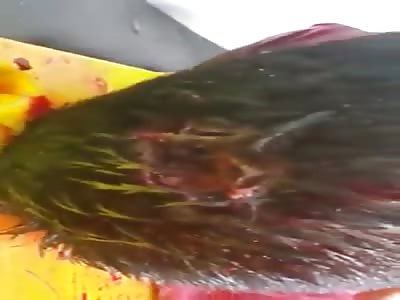 Attack part 3. Body of the man with several shots in his body