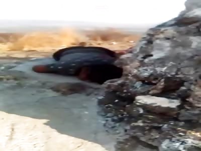 execution in Mexico of the armed group called the â€œviagrasâ€