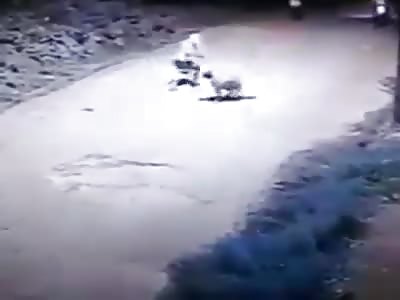 hit man in action! man shot to death ...