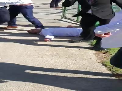 elegant fight, elegant knock out