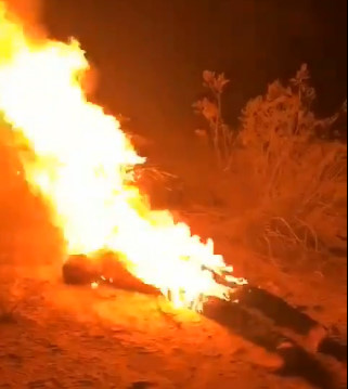 Cartel set Rival Ablaze