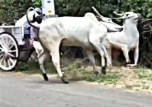 Uber, This Is My Stop Right Here