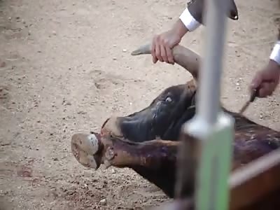 Bitch Ass Spaniards - Medium Rare Burgers 