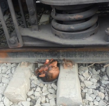 Suicide on the Train Lines