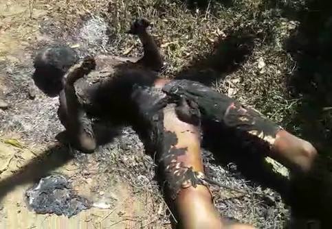 BARBECUE from Brazil Freshly Output Oven 