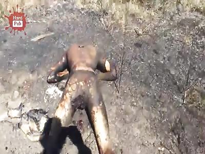 More than 640 Russian mercenary soldiers killed in Syria