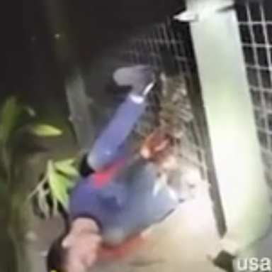 Tiger Attack at a Florida Zoo! 