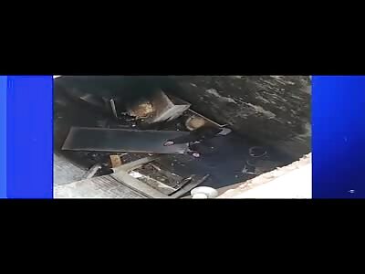 Man Falls Into Cellar! 