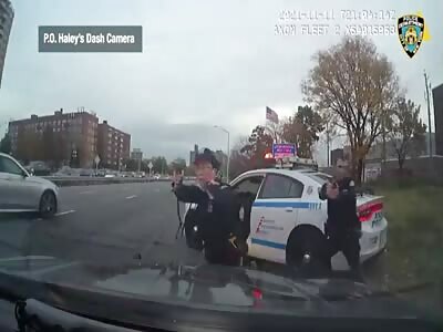 Suspended License Leads to Deadly Shooting! 