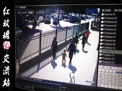 Fencing crushes a woman after a car crash into it