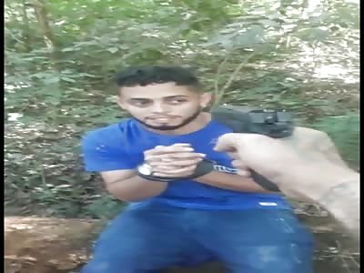 Bloody Madness From the Brazilian Jungle