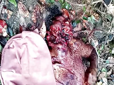 Hacked Up Like a Piece of Raw Rabbit