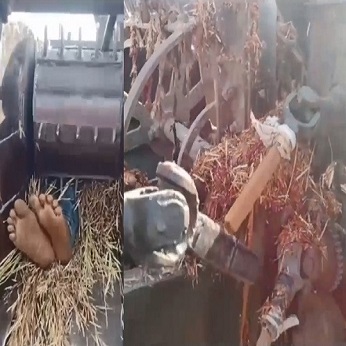 Reason to Stay the Fuck Away From Heavy Machinery...