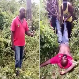 Gunmen Kidnap and Execute Ebubeagu Commander In Imo State