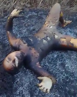 Where to Find the World's Best Barbecue... Yeah In Brazil.