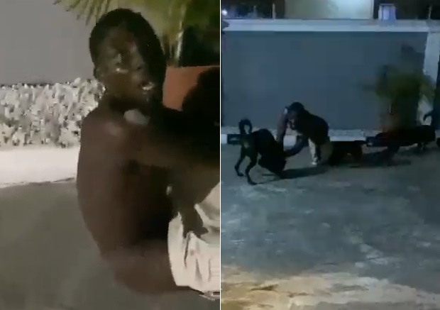 Angry Dogs Bite Bad Luck Thief In Africa