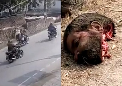 Scooter Rider Dives Headfirst Into an SUVs Path (Full Video)