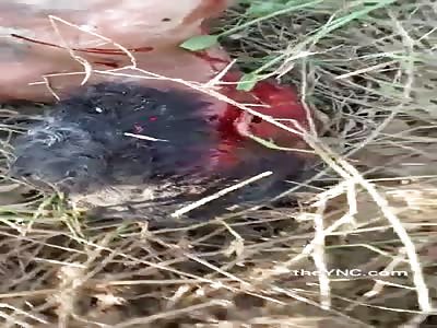 Murder. - MarabÃ¡/BRAZIL