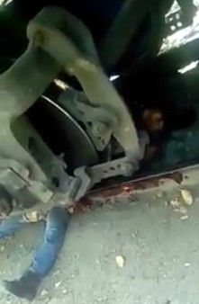 Ripped in Half and Still Alive