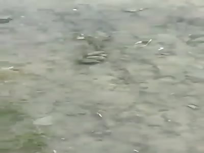 murder ... man with the throat cut