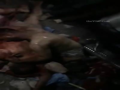 murder of the youth of Iraq.