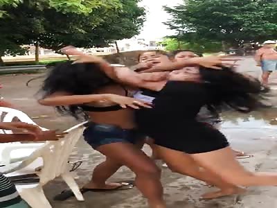 Cats Fight Live from the Slums of Brazil