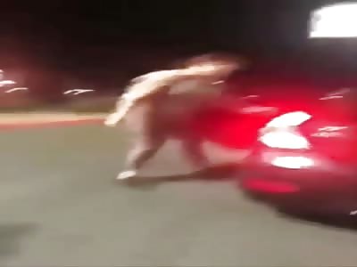 great bitch vs.  little bitch