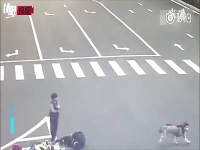 HUSKY HIT AND RUNï¼