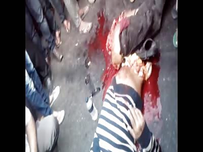 The Gross Compilation