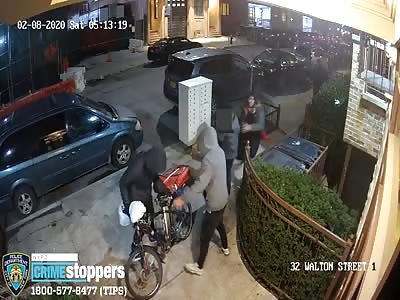 New York mutts rob and stab pizza delivery boy