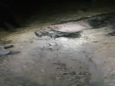 Man Was Dragged to Death By Horse