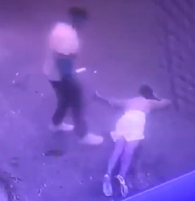 Purse Snatcher Kills Lady