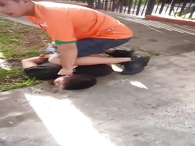 they catch a thief and make him cry like a little girl