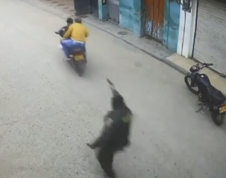 Robbery Of Cash Delivery Gone Wrong (New Angle)
