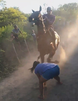  Girl Spectating Horse Race Pays the Price